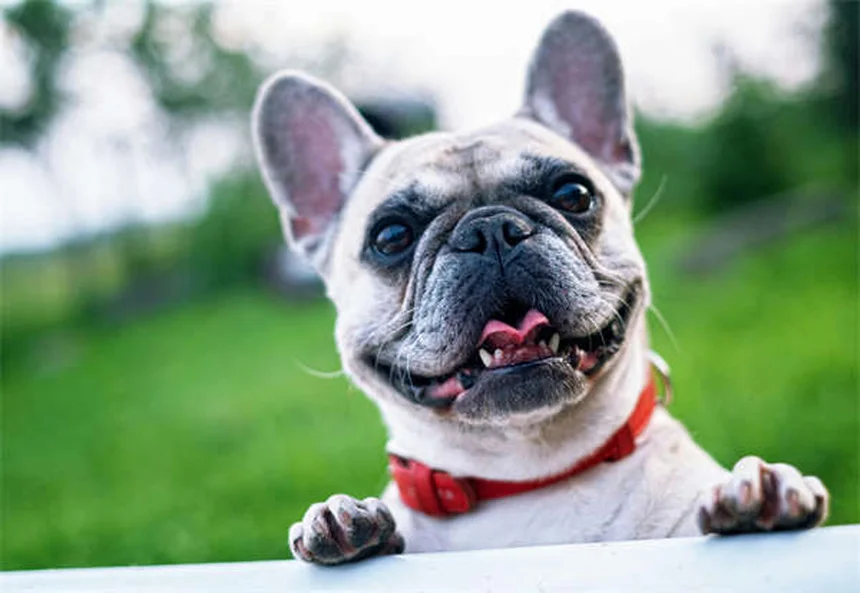 2026 Chevy Silverado EV Trail Boss: Ultimate Off-Road Electric Truck
